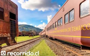 Temuco, Ciudad de Poetas: Una Feria del Libro Inaugural que Impulsa la Cultura Literaria